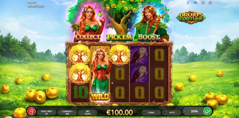 druid's fortune main features