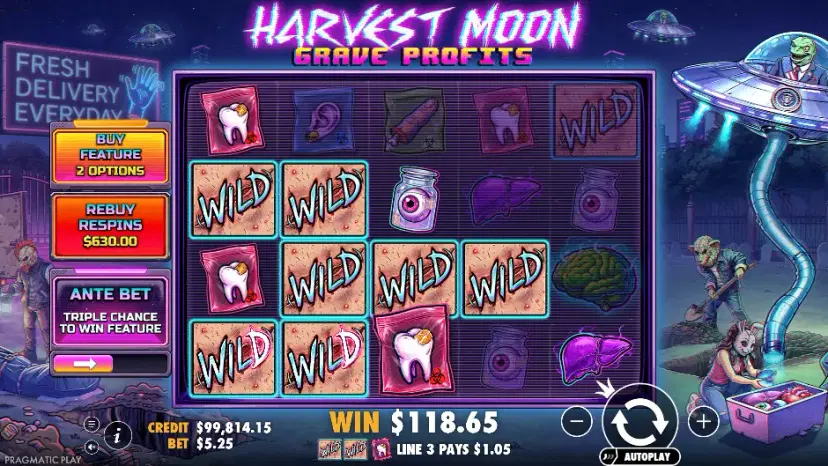 harvest moon grave profits random wild feature