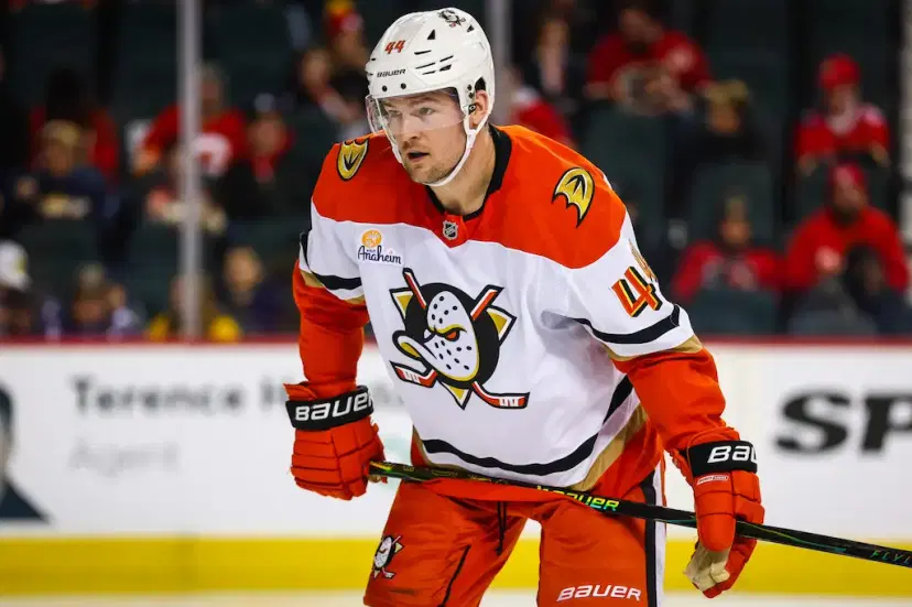 ross johnston anaheim ducks