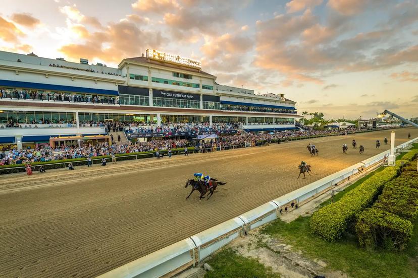 Gulfstream Park Picks Today: Top Selections in Every Race for October 3, 2026