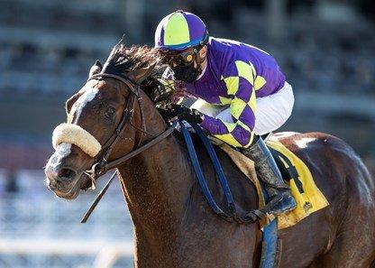Express Train looks to win another Santa Anita race in the Big Cap