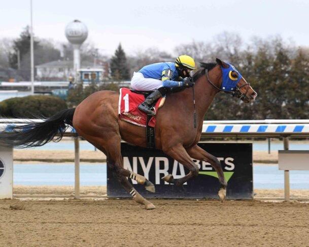 Dark Money will be a heavy favorite in the 3rd from Aqueduct on Saturday