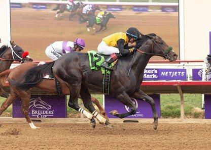 Finneus is favored in the Turf Paradise Derby