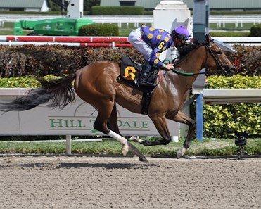 Spirit Wind has a win over the Gulfstream Park track