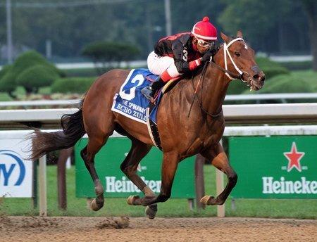 Echo Zulu will be heavily favored in the Fair Grounds Oaks