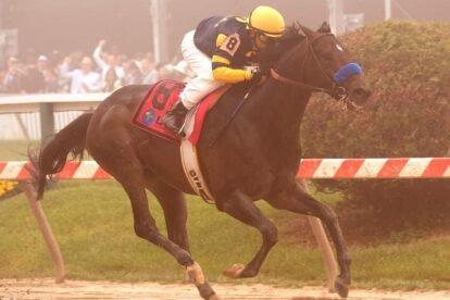 Ax Man will try the turf at Turf Paradise.