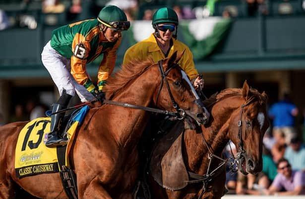 Classic Causeway is the likely favorite in the Tampa Bay Derby at Tampa Bay Downs