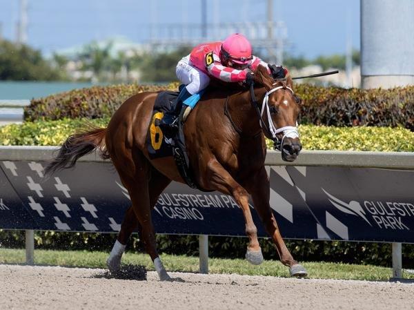 Nitrous Channel has been backed up by a number of next out winners at Gulfstream Park from his last race.