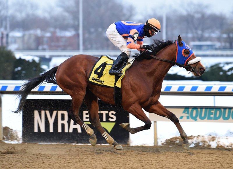 Backsideofthemoon favored at Parx in the Washington Crossing