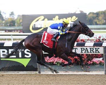 Rockefeller will be difficult to beat in the Gotham from Aqueduct.