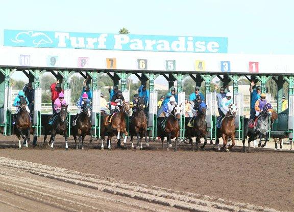 Turf Paradise has 8 thoroughbred races on the Tuesday card.