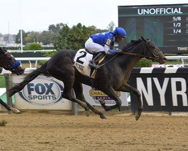 Zandon is a top contender for the Kentucky Derby.