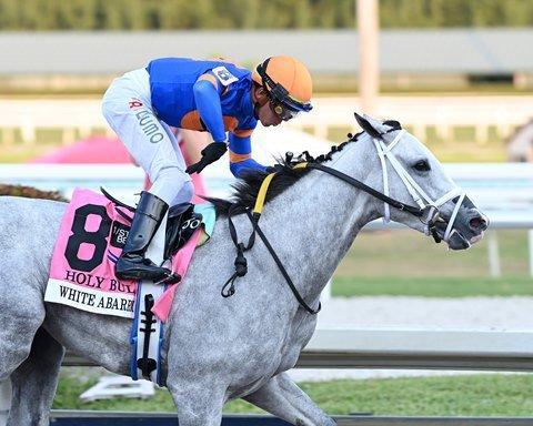 White Abarrio is a top contender for the Kentucky Derby.