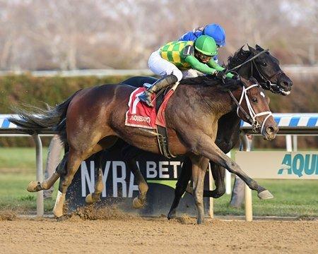 Mo Donegal is a top contender for the Kentucky Derby.