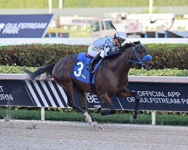 Simplification wins his prep over the Gulfstream Park main track