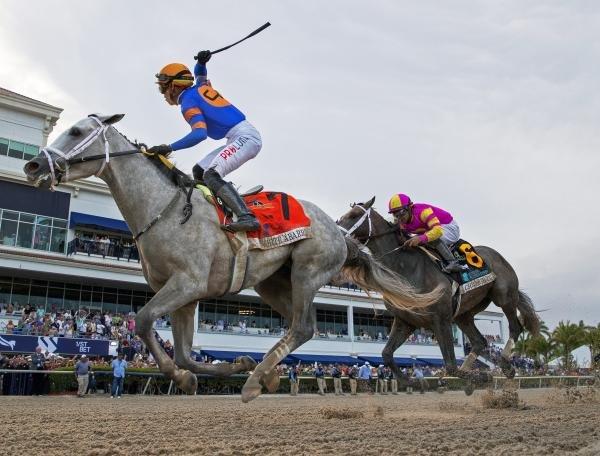 White Abarrio has 112 Kentucky Derby points