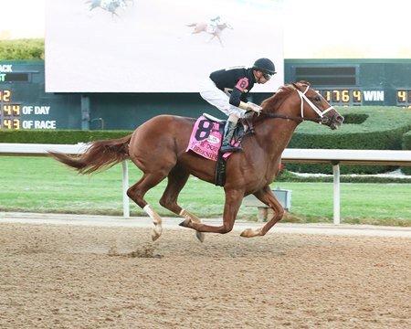 Cyberknife has 100 Kentucky Derby points
