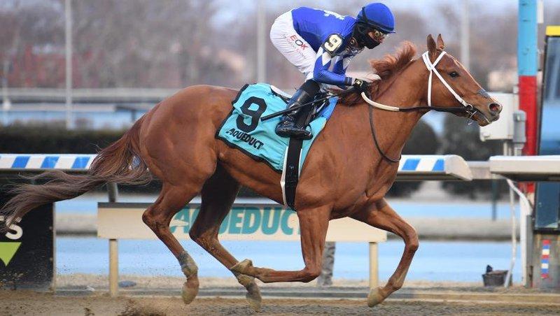 Morello wins the Gotham easily over the Aqueduct main track