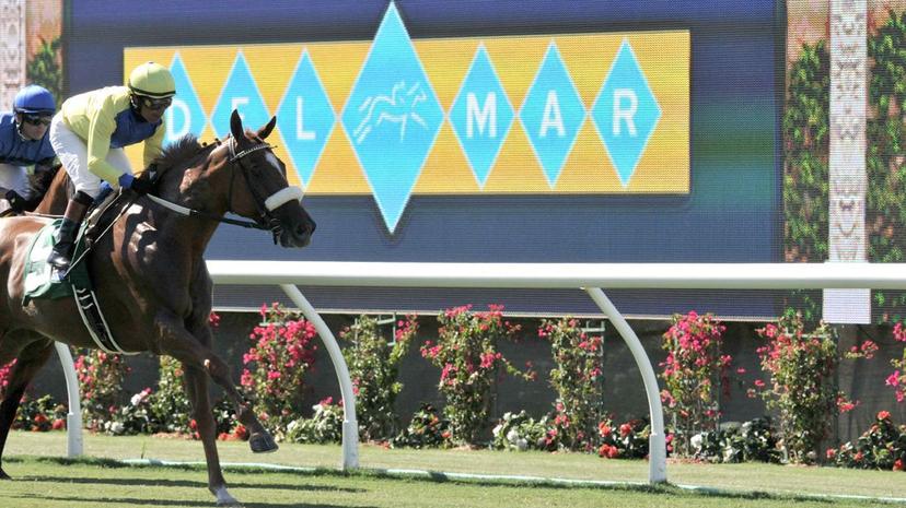 Del Mar Oaks: Grade 1 Turf Analysis, Selections cover