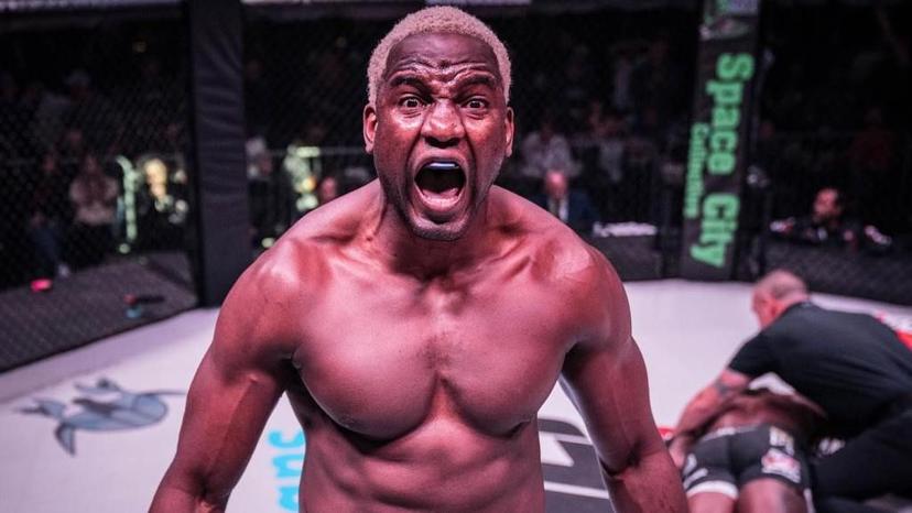 UFC St Louis preview