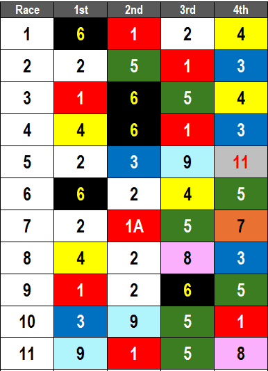 Belmont at the Big Picks- 2024 Vagrancy Stakes