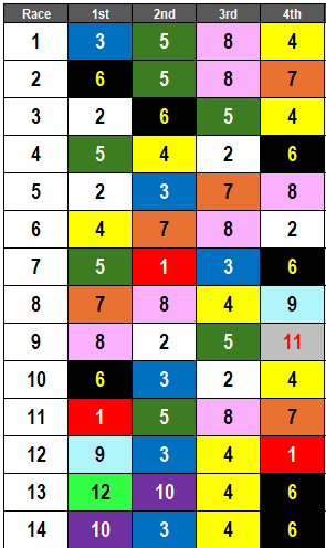 Belmont at Saratoga Picks- Belmont Stakes 2024 Pi
