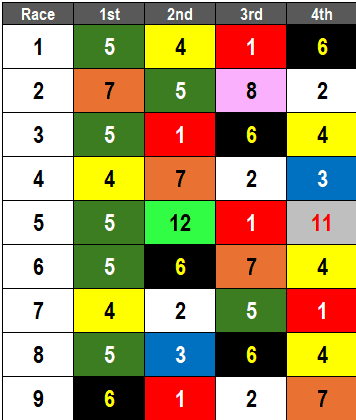 Belmont at the Big A picks- 2024 Brooklyn Stakes