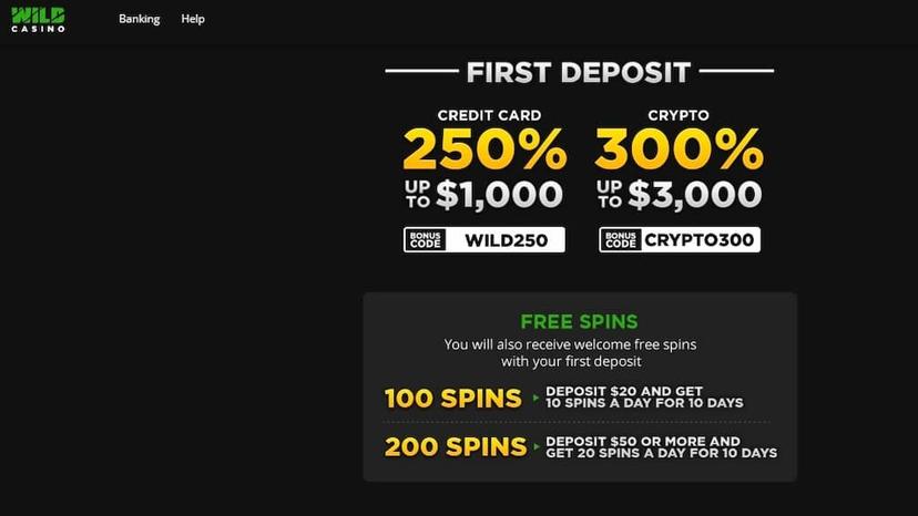 Welcome bonus and free spins offer at Wild Casino