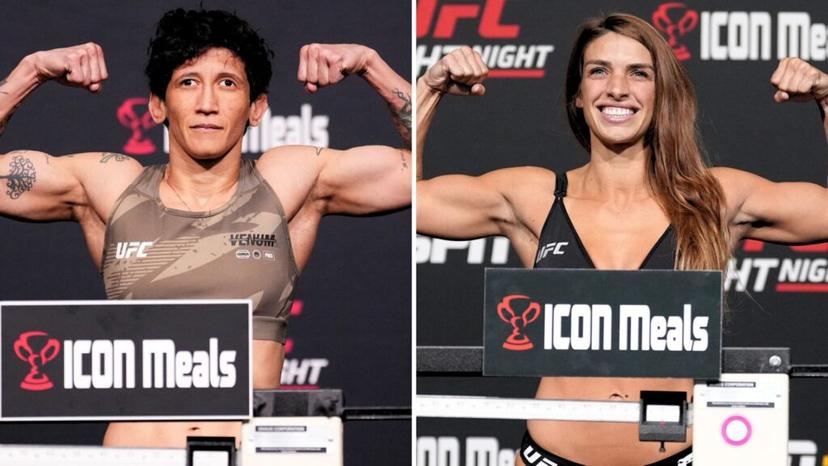 UFC 321 Tom Aspinall (C) vs Cyril Gane Fight Card Odds, Predictions, Watch Info & FAQ