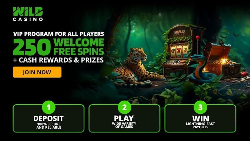 Wild Casino welcome bonus free spins
