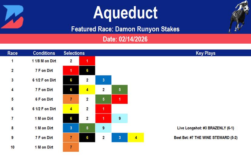 Aqueduct Picks: Saturday Damon Runyon Stakes (2/14/2026)
