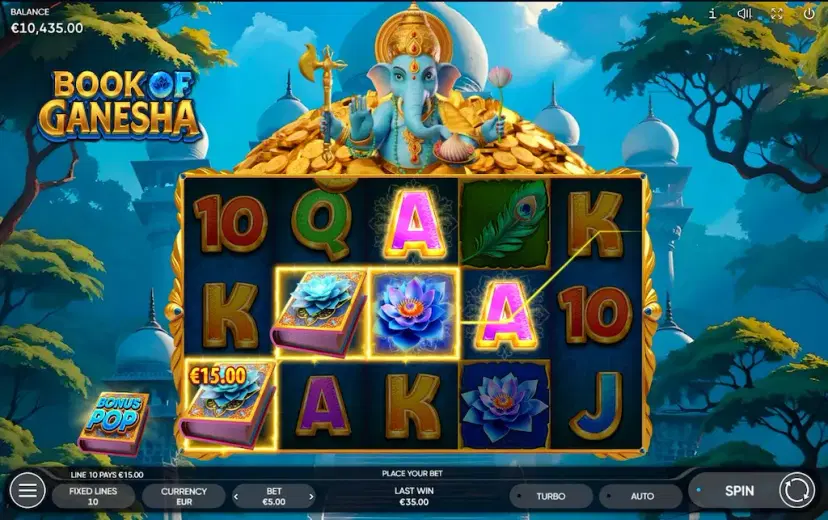 book of ganesha main features