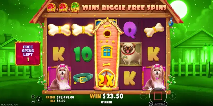 the big dog house bonus symbols