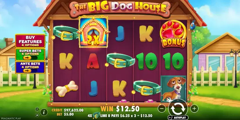 the big dog house main features