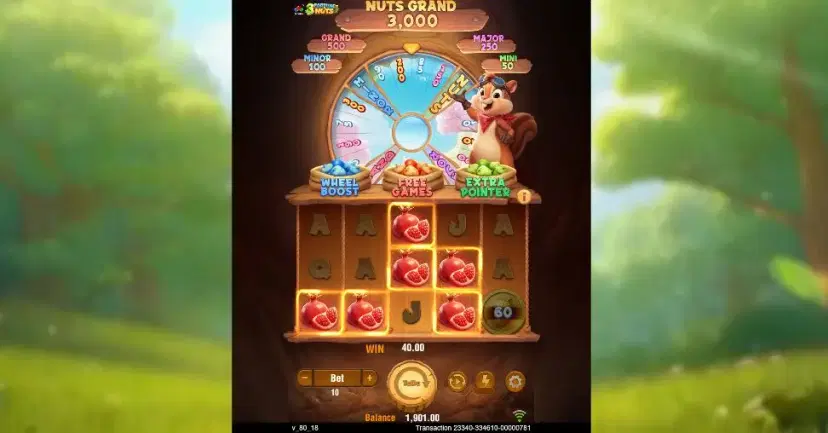 3 fortune nuts main features