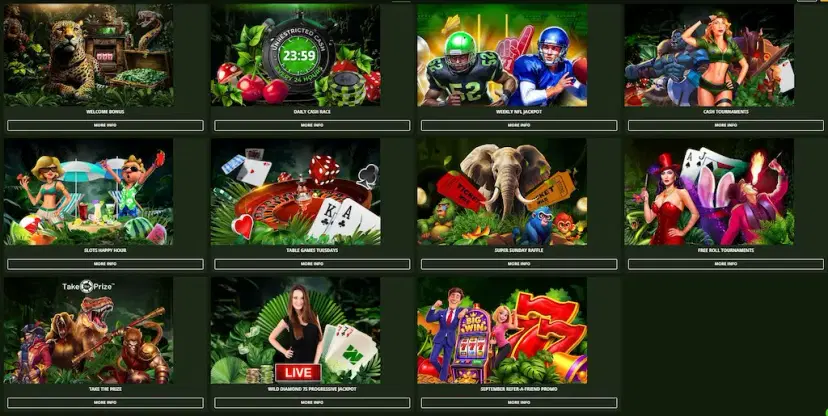 wild casino promotions oct 2026